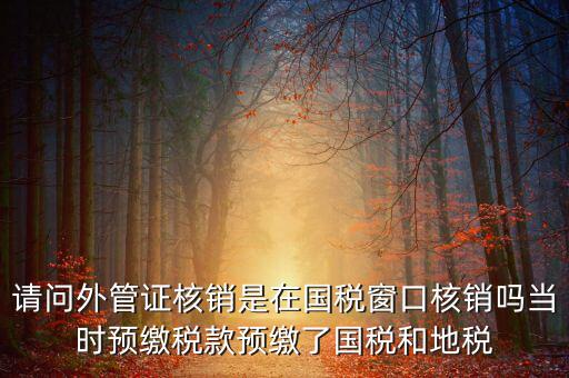 外管證如何核銷，發(fā)票已開外管證丟了怎么核銷
