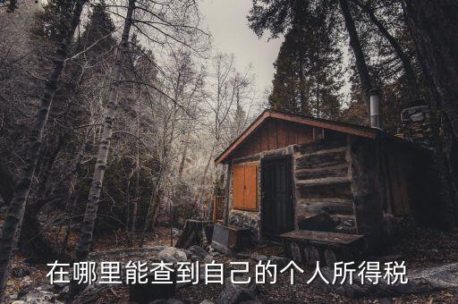 個(gè)人所得稅如何查，怎么查個(gè)人所得稅