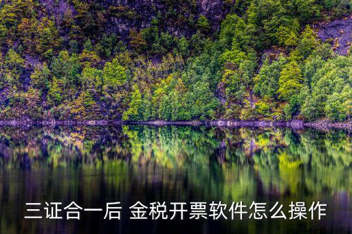 三證合一如何開(kāi)票系統(tǒng)，怎么給三證合一的企業(yè)開(kāi)增值稅發(fā)票