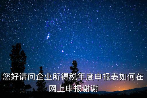 公司如何網(wǎng)絡(luò)申報表，新手請教企業(yè)所得稅年度納稅申報表在網(wǎng)上如何申報