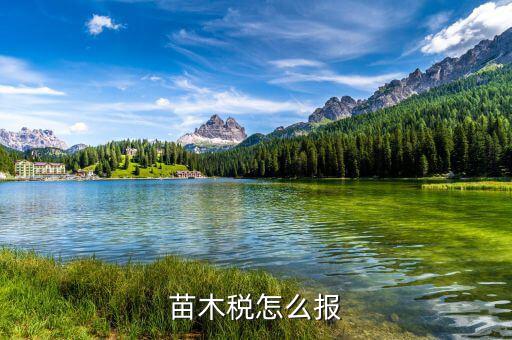 苗木增值稅免稅如何申報，苗木稅怎么報