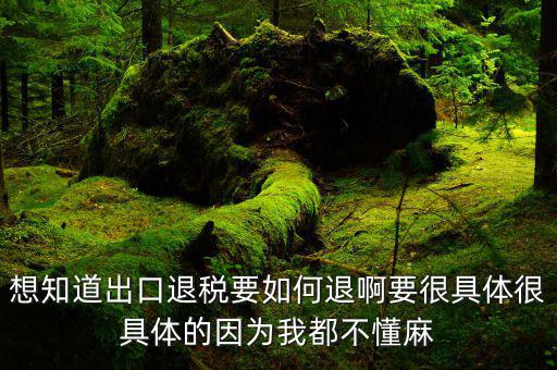 產(chǎn)品出口如何退稅，想知道出口退稅要如何退啊要很具體很具體的因為我都不懂麻