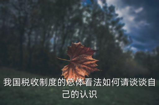 如何讓看待我國稅收改革，我國稅收制度的總體看法如何請談?wù)勛约旱恼J(rèn)識