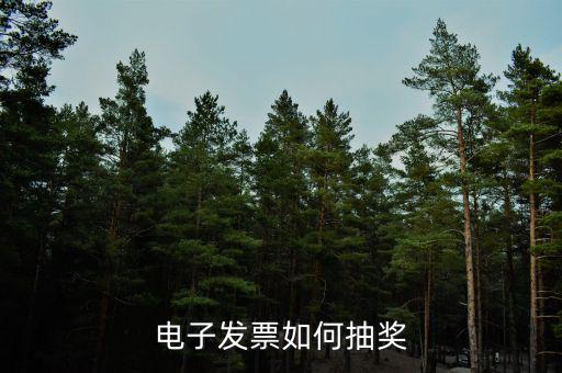 發(fā)票如何登記抽獎，發(fā)票怎么抽獎