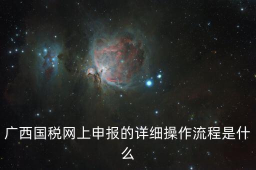 廣西國(guó)稅地稅如何網(wǎng)上申報(bào)系統(tǒng)，國(guó)稅網(wǎng)上怎么申報(bào)