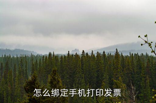 百旺電子發(fā)票如何綁定終端，尚未配備電子發(fā)票終端怎么處理