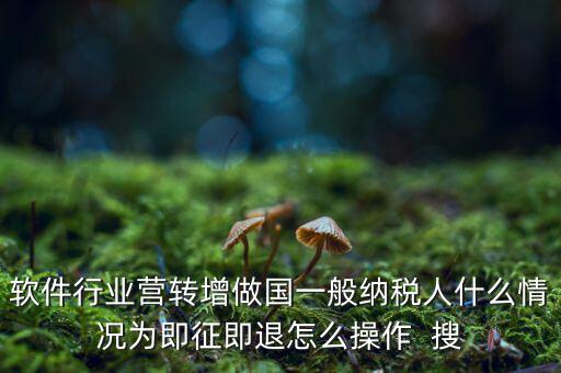 即征即退政策如何辦理，軟件行業(yè)營轉(zhuǎn)增做國一般納稅人什么情況為即征即退怎么操作  搜