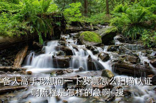 如何使用掃描儀認(rèn)證發(fā)票嗎，各人高手我想問(wèn)一下發(fā)票怎么掃描認(rèn)證啊流程是怎樣的急啊  搜