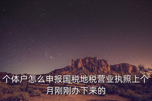 個體定額如何申報國稅，個體戶如何申報國稅和地稅