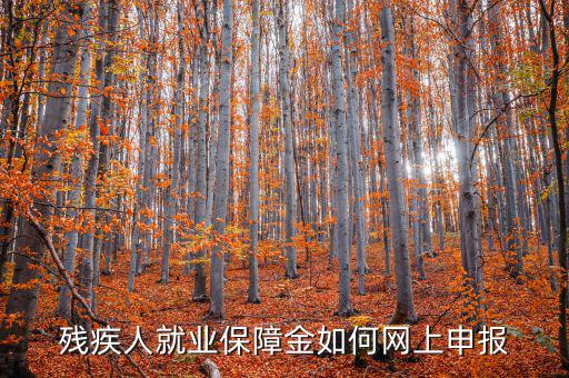 安徽殘疾人保障金如何網(wǎng)上申報，殘疾人就業(yè)保障金如何網(wǎng)上申報