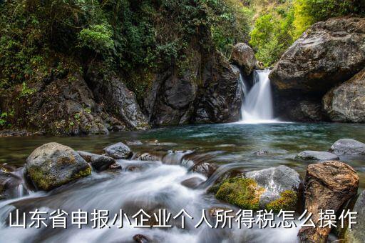 山東省如何網(wǎng)上申報所得稅，山東國稅2008年度企業(yè)所得稅實行網(wǎng)上申報