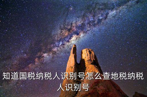 知道國稅納稅人識(shí)別號(hào)怎么查地稅納稅人識(shí)別號(hào)