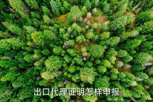 代理出口貨物證明如何報稅，出口代理證明怎樣申報