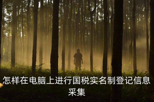 怎樣在電腦上進(jìn)行國稅實名制登記信息采集