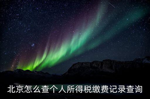 北京地稅個(gè)人如何查詢系統(tǒng)，北京個(gè)人所得稅怎么查詢