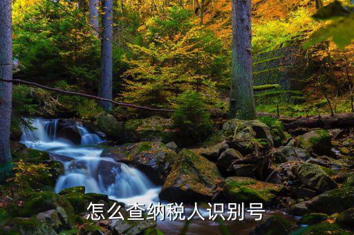 如何查詢個人納稅人識別號，納稅人識別號查詢