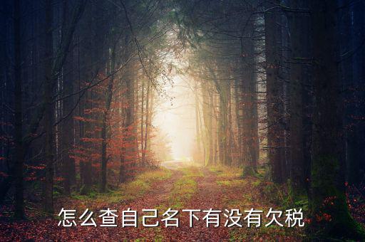 如何查欠稅記錄，怎么查個(gè)人有沒(méi)有欠稅
