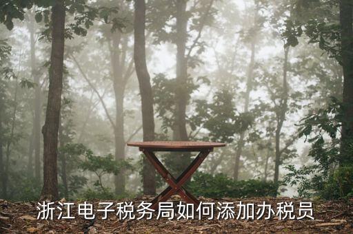 如何在浙江網(wǎng)上稅務(wù)局添加辦稅員，浙江電子稅務(wù)局如何添加辦稅員