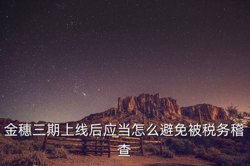 金穗三期上線后應(yīng)當怎么避免被稅務(wù)稽查