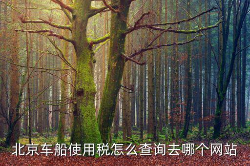 北京車(chē)船稅如何查詢(xún)系統(tǒng)，北京車(chē)船使用稅怎么查詢(xún)交沒(méi)交