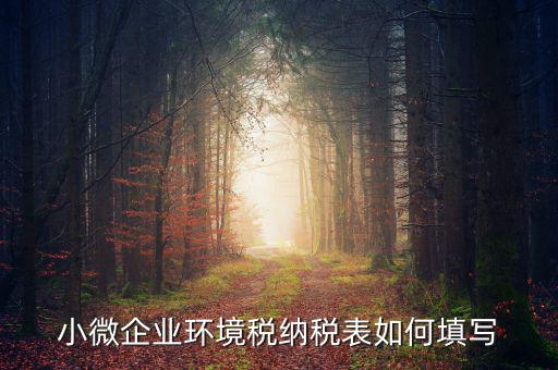 小微企業(yè)環(huán)境稅納稅表如何填寫(xiě)