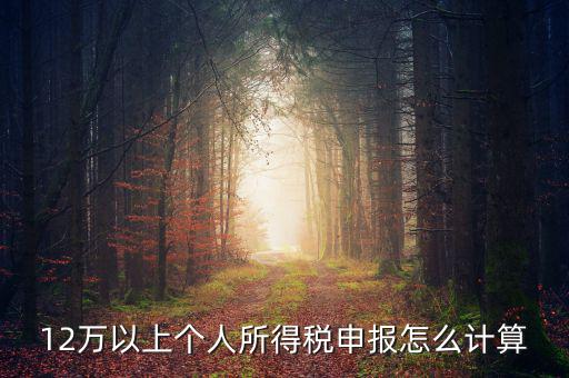 12萬個人申報如何計算，如何計算12萬元個人所得稅申報表