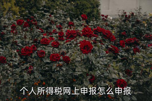 福建個人納稅如何申報，個人所得稅網(wǎng)上申報怎么申報