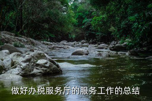 做好辦稅服務廳的服務工作的總結