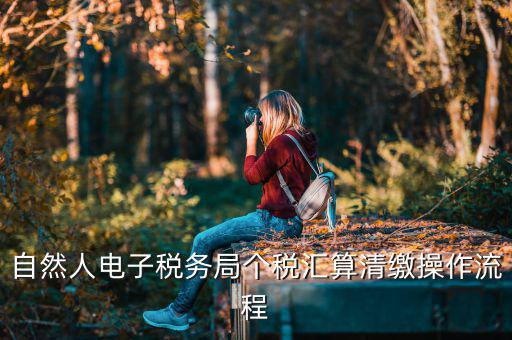 如何使用匯算清繳客戶端，自然人電子稅務(wù)局個稅匯算清繳操作流程
