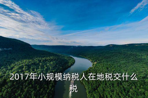 2017年土地稅如何征收，2017年小規(guī)模納稅人在地稅交什么稅