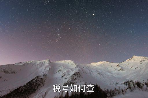 如何查詢公司稅務(wù)編號查詢，如何通過企業(yè)注冊號查詢企業(yè)稅務(wù)登記證號