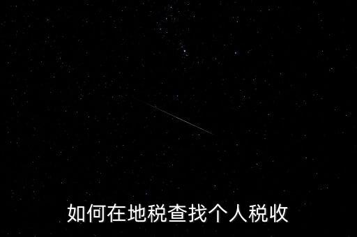 地稅局如何查個人所得稅，如何在地稅查找個人稅收