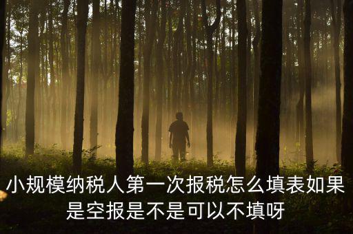 小規(guī)模納稅人第一次報(bào)稅怎么填表如果是空報(bào)是不是可以不填呀