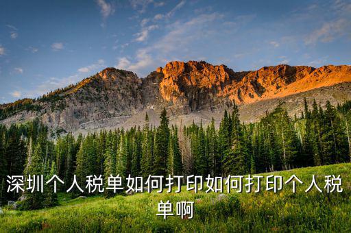 深圳網(wǎng)上如何打印稅單，怎樣在網(wǎng)上打印稅單我是深圳寶安區(qū)的