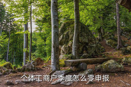 個體戶地稅如何零申報，個體工商戶地稅零申報怎樣報