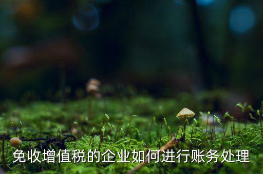 免稅的增值稅如何處理，增值稅免稅的處理
