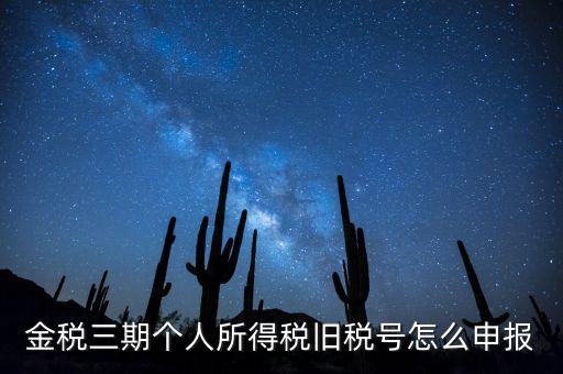 金稅三期個人所得稅舊稅號怎么申報(bào)