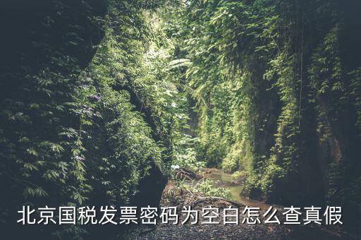 北京國稅發(fā)票真?zhèn)稳绾尾樵?，北京國稅發(fā)票密碼為空白怎么查真假