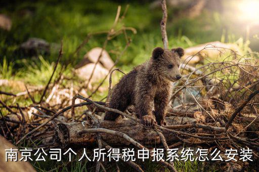 如何安裝金稅三期個(gè)稅安裝包，金稅三期在哪里下載
