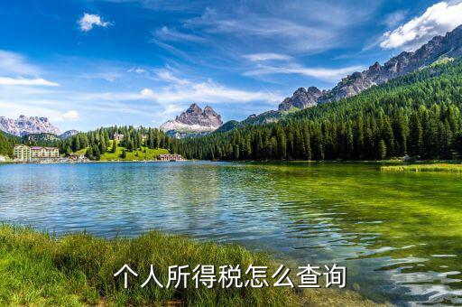 如何查稅，怎么查自己交了多少稅