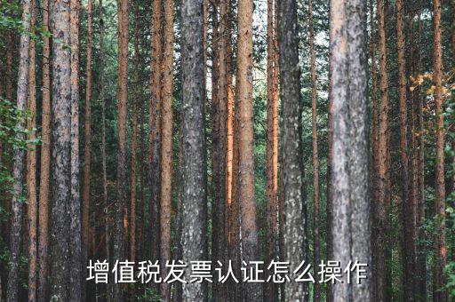 如何認證增值稅進項稅，進項稅怎么認證