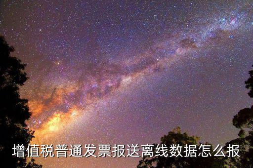 如何報(bào)送發(fā)票數(shù)據(jù)，河北國稅普通發(fā)票怎么報(bào)送