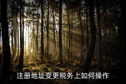 稅務(wù)官網(wǎng)地址如何變更，注冊地址變更稅務(wù)上如何操作