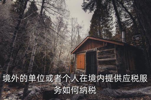 境外機構如何繳納增值稅，來源于境外收入怎么交增值稅