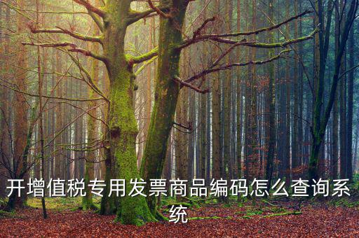 開(kāi)增值稅專用發(fā)票商品編碼怎么查詢系統(tǒng)