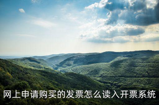 網(wǎng)購發(fā)票如何讀入，網(wǎng)上申請(qǐng)購買的發(fā)票怎么讀入開票系統(tǒng)