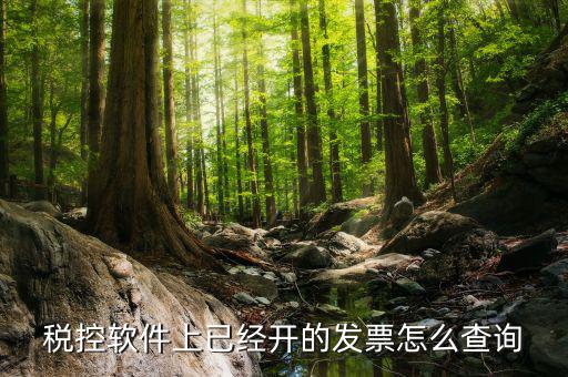 已勾選的發(fā)票如何查詢票號，增值稅專用發(fā)票可以憑票號在稅局查詢