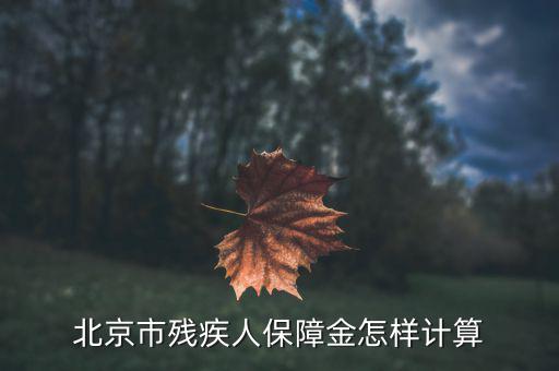 2016年北京殘疾人保障金如何計(jì)算，北京市殘疾人保障金怎樣計(jì)算