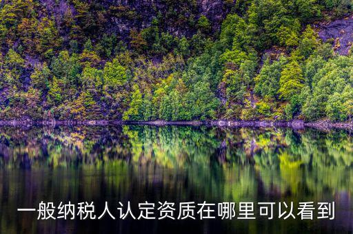 如何查看稅務(wù)資質(zhì)，一般納稅人認(rèn)定資質(zhì)在哪里可以看到