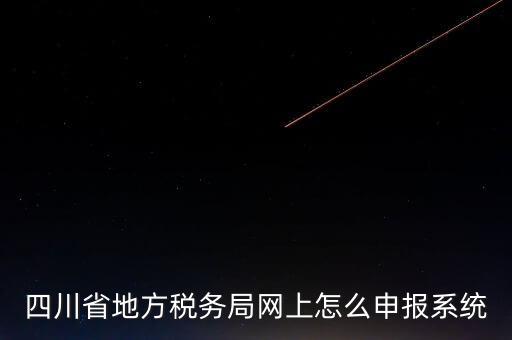 四川省地方稅務局網上怎么申報系統(tǒng)